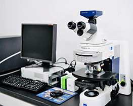 AxioImager  + AxioVision(Carl Zeiss )